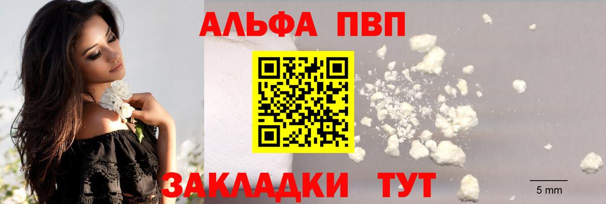 Alpha PVP СК КРИС  Alpha-PVP VHQ  где купить наркоту  Карачаевск  A-PVP мука  Вход с VPN 