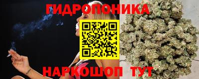 a pvp Донецк
